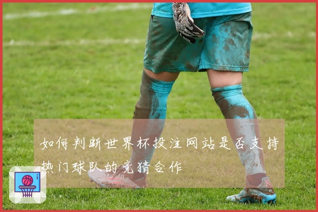 如何判断世界杯投注网站是否支持热门球队的竞猜合作