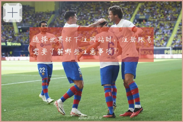 选择世界杯下注网站时，注册账号需要了解哪些注意事项？